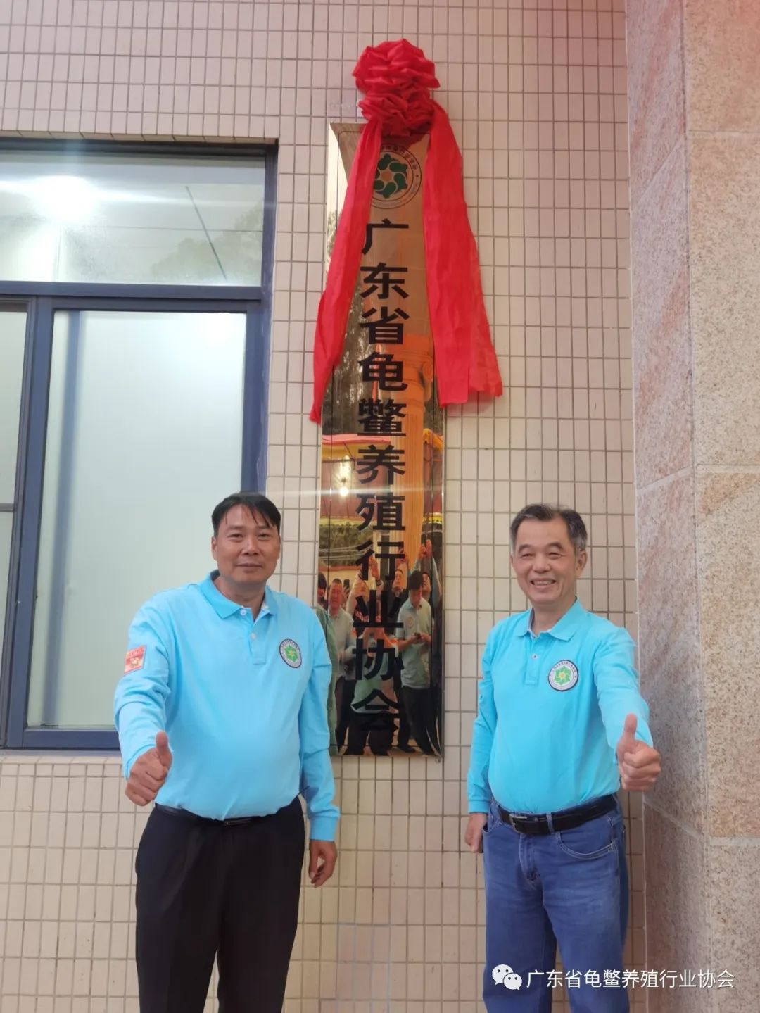 龟协挂牌